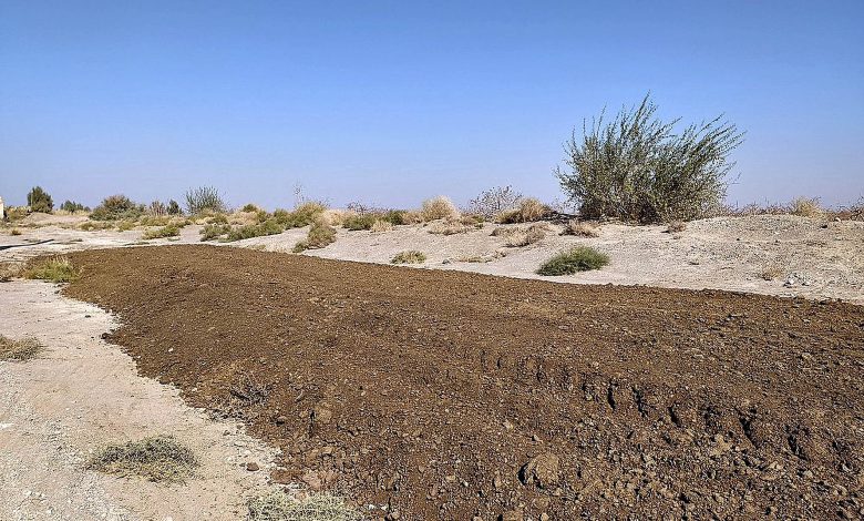 کمپوست سازی